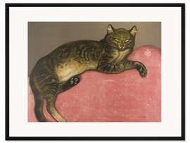Gerahmter Kunstdruck Katze auf einem Kissen