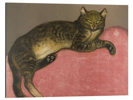 Magnettafel Katze auf einem Kissen