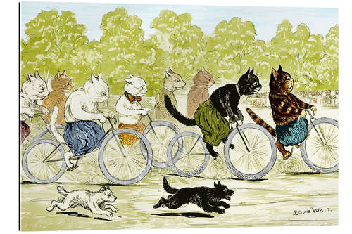 Gallery print Cats in a Bicycle Race, Hyde Park