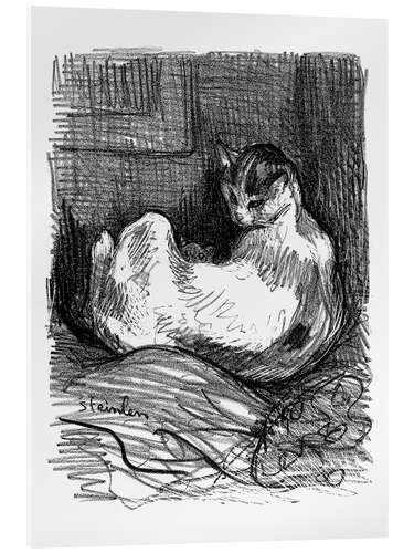 Acrylic print The Mother Cat