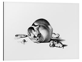 Aluminium print Cat and Kittens