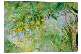 Magnettafel Orangenbaum Zweige