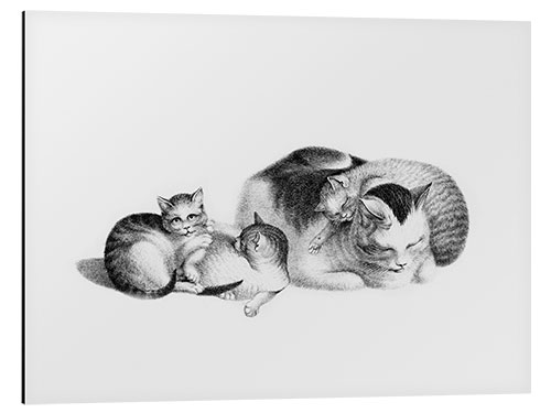 Alumiinitaulu Sleeping Cat and Kittens