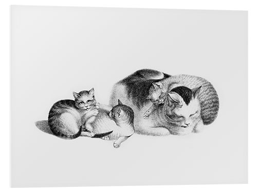 Stampa su PVC Sleeping Cat and Kittens