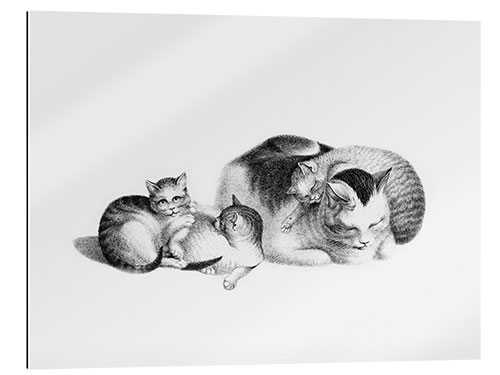 Gallery print Sleeping Cat and Kittens