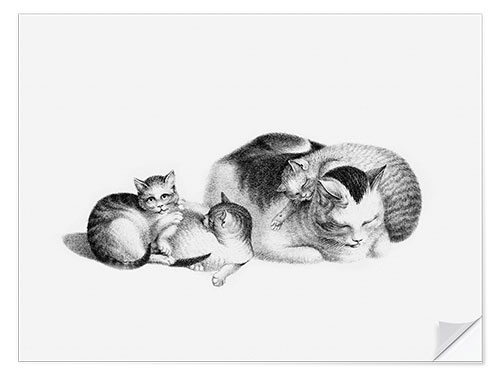 Wandsticker Schlafende Katze und Katzenbabys