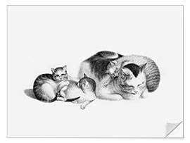 Muursticker Sleeping Cat and Kittens