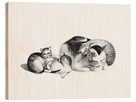 Cuadro de madera Sleeping Cat and Kittens