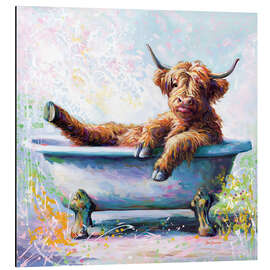 Aluminium print Splish Splash Baby Highland Cow