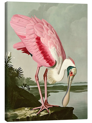 Canvastavla Roseate Spoonbill after Audubon