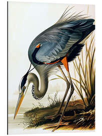 Tableau en aluminium Blue Heron after Audubon