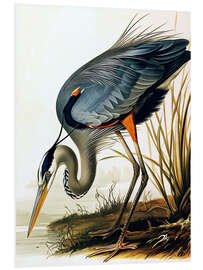 Tableau en PVC Blue Heron after Audubon