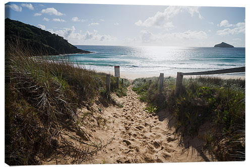 Leinwandbild Weg zum Strand, Australien