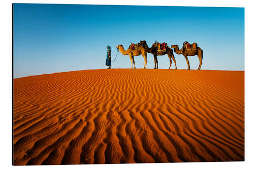 Obraz na aluminium Man and Camels in the Sahara Desert