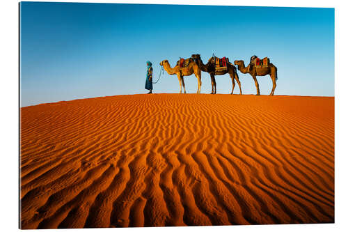 Gallery print Man and Camels in the Sahara Desert