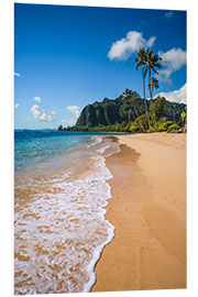 Foam board print Tropical Beach, Oahu Island, Hawaii