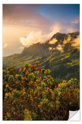 Selvklæbende plakat Sunset in Kauai Island, Hawaii