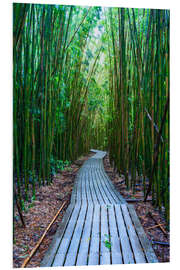 Foam board print Bamboo Forest, Hawaii