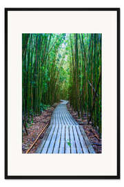 Gerahmter Kunstdruck Bambuswald, Hawaii