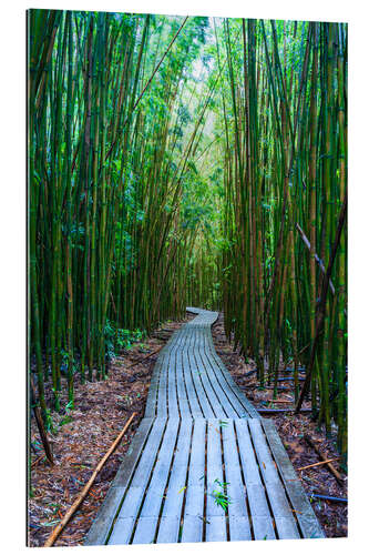 Gallery print Bamboo Forest, Hawaii