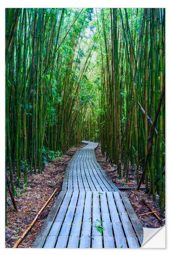 Vinilo para la pared Bamboo Forest, Hawaii