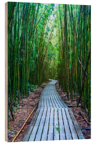 Wood print Bamboo Forest, Hawaii