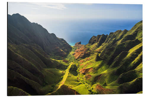 Alumiinitaulu Green Valley and Ocean, Hawaii