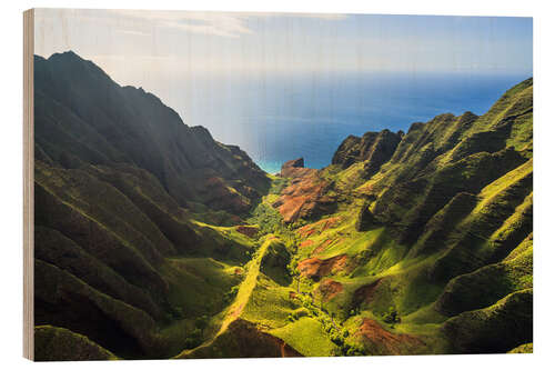 Tableau en bois Green Valley and Ocean, Hawaii