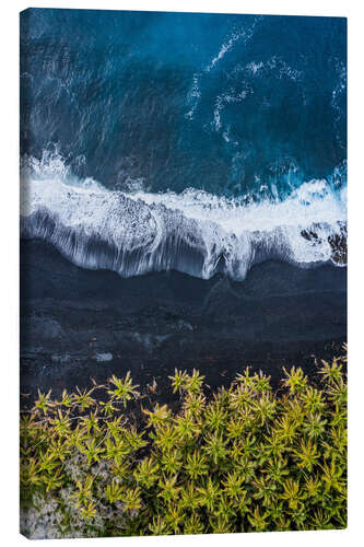 Canvastavla Black Sand Beach, Hawaii