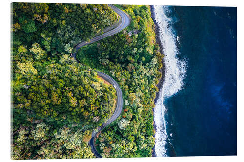 Acrylic print Road to Hana, Hawaii