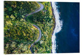 Acrylglas print Road to Hana, Hawaii