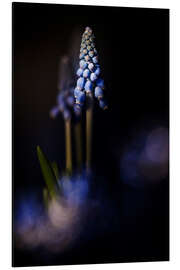 Magnettafel Like Blue Grapes