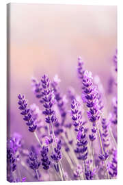 Canvas print Lavender Summer