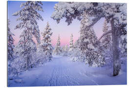 Gallery print Magical Polar Night