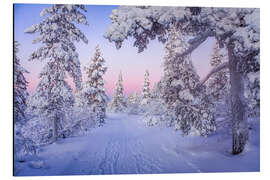 Magnettafel Zauberhafte Polarnacht