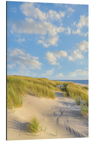 Tableau en aluminium Dunes on Sylt in the evening