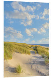 Foam board print Dunes on Sylt in the evening