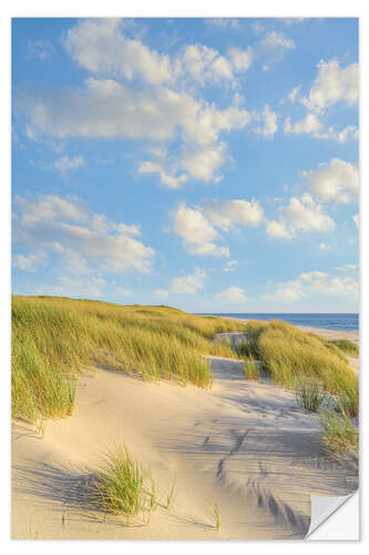 Selvklæbende plakat Dunes on Sylt in the evening