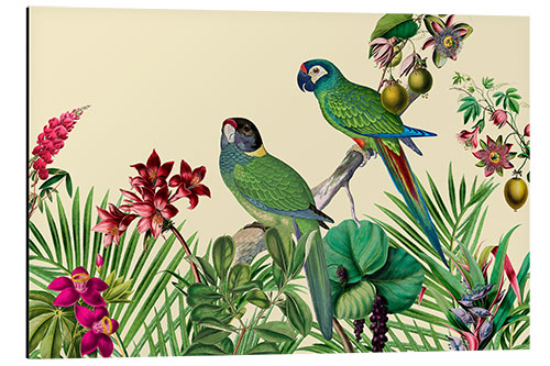 Tableau en aluminium Jungle Vibes Parrot Island