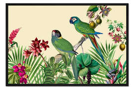 Gerahmter Kunstdruck Jungle Vibes Papageieninsel