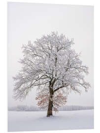 Tableau en PVC Frosty Tree