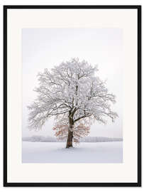 Gerahmter Kunstdruck Frostiger Baum