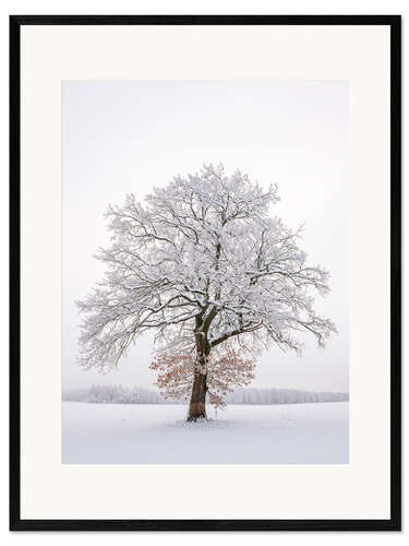 Kehystetty taidepainatus Frosty Tree