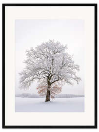 Ingelijste kunstdruk Frosty Tree