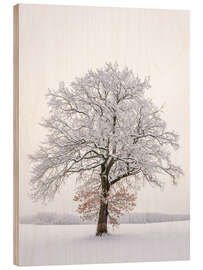 Wood print Frosty Tree