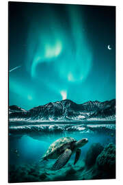 Cuadro de aluminio Aurora Borealis and Turtle Underwater