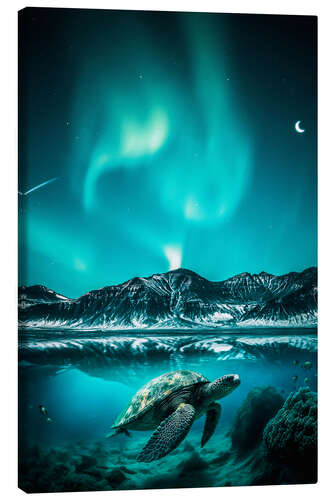 Canvas print Aurora Borealis and Turtle Underwater