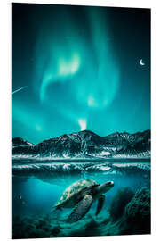 Foam board print Aurora Borealis and Turtle Underwater