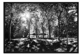 Gerahmter Kunstdruck Blick zur Roseninsel