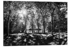 Magnettafel Blick zur Roseninsel